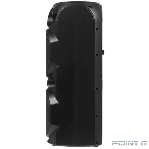 АС PS-750, черный (80 Вт, TWS, Bluetooth, FM, USB, microSD, LED-дисплей, 4400мА*ч)